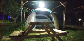 Makara camp